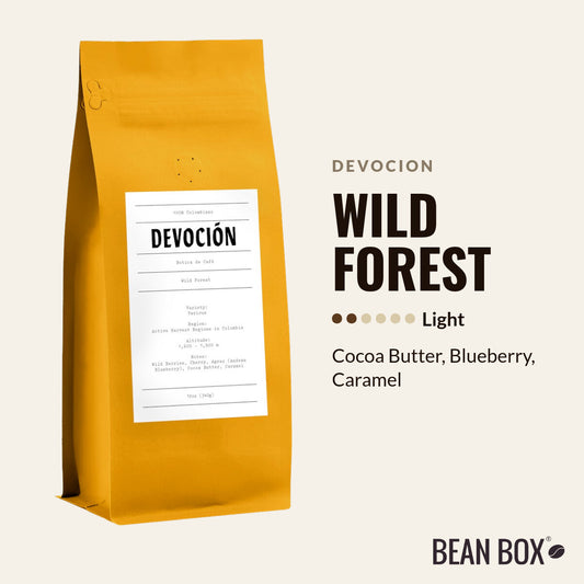 Wild Forest