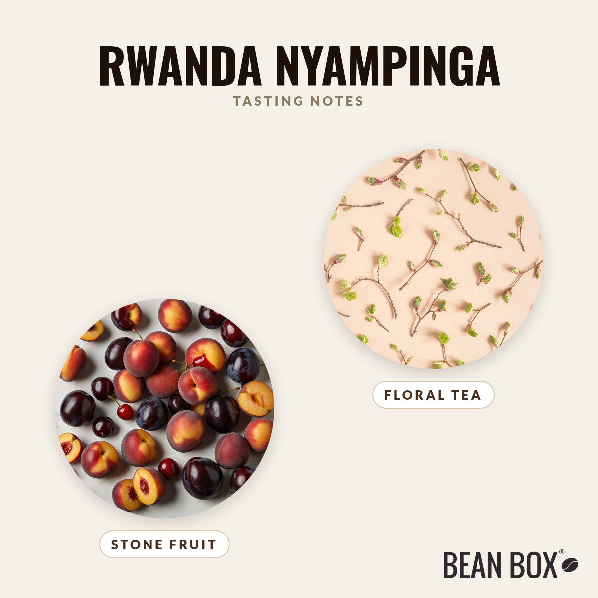 Rwanda Nyampinga
