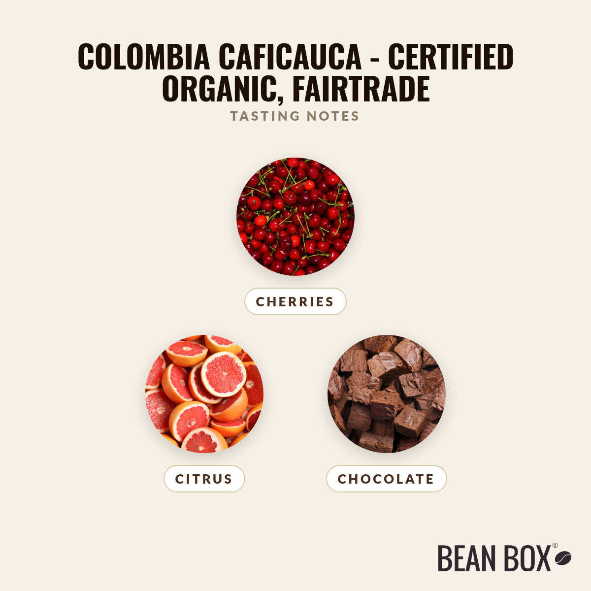 Colombia Caficauca - Certified Organic, Fairtrade