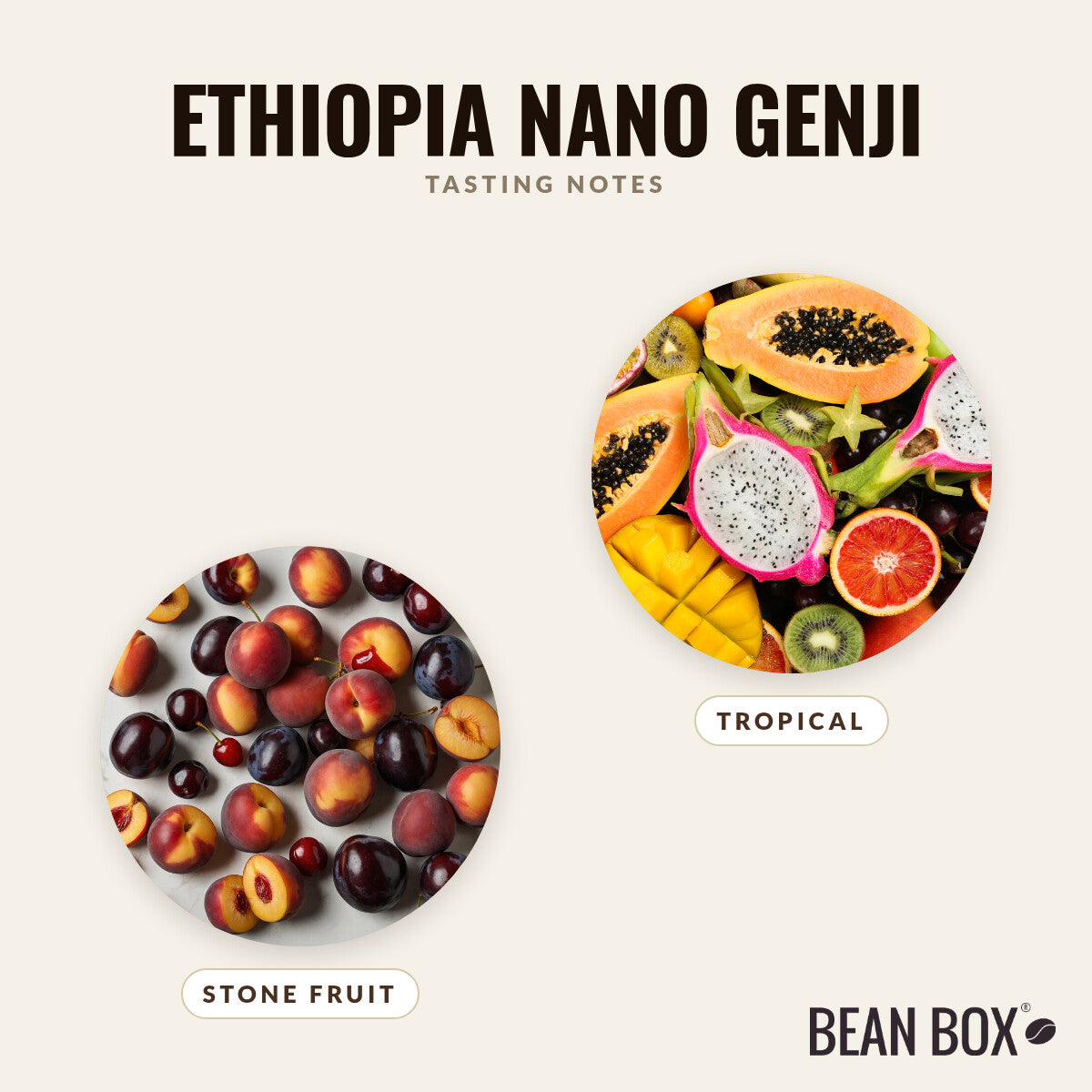 Ethiopia Nano Genji