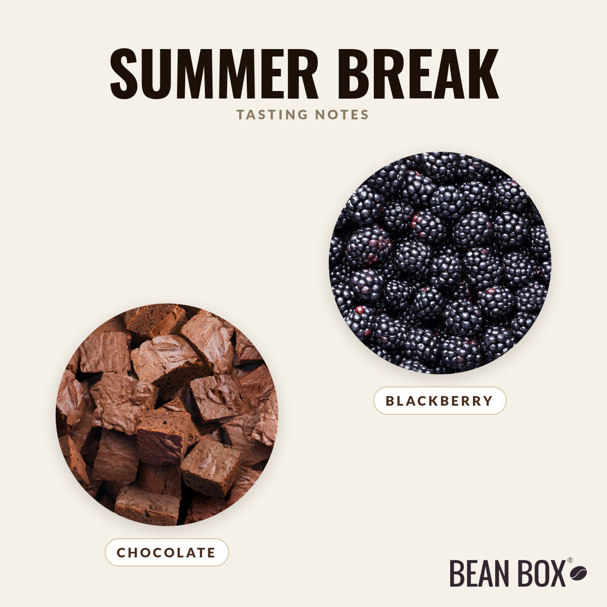 Summer Break