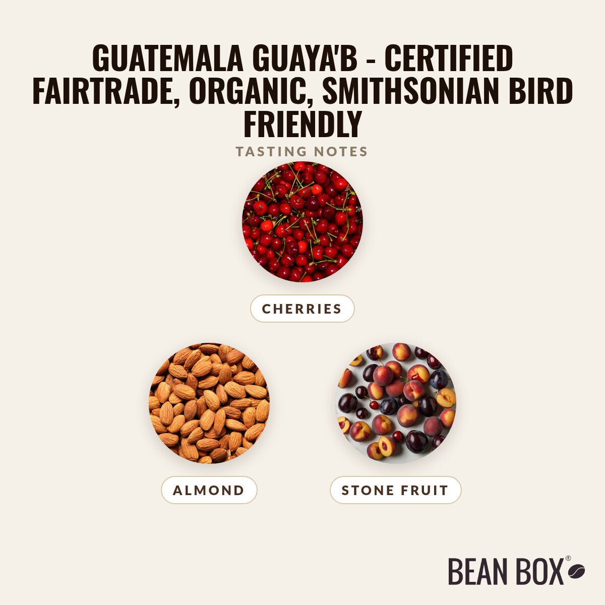 Guatemala Guaya'b - Certified Fairtrade, Organic, Smithsonian Bird Friendly