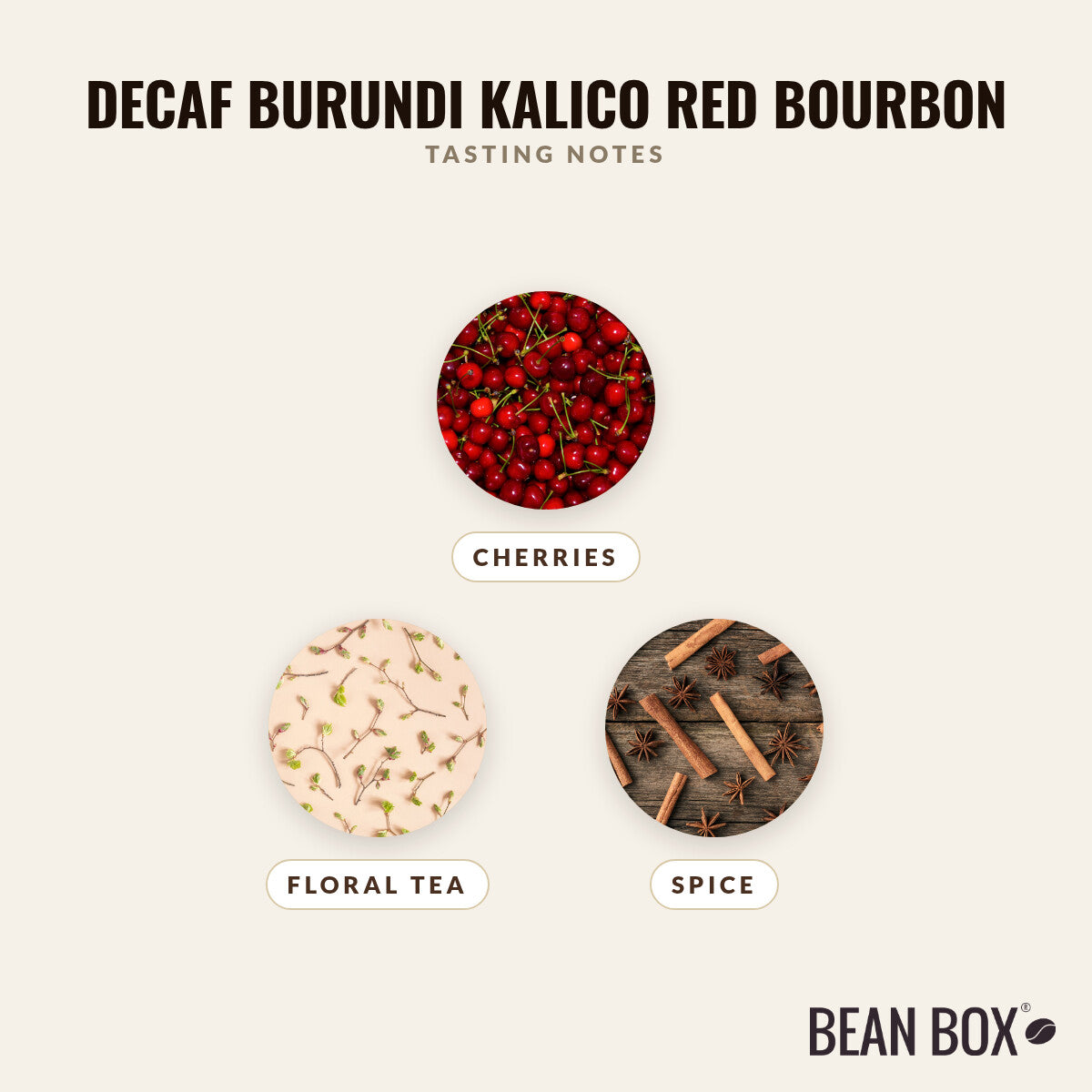 Decaf Burundi Kalico Red Bourbon