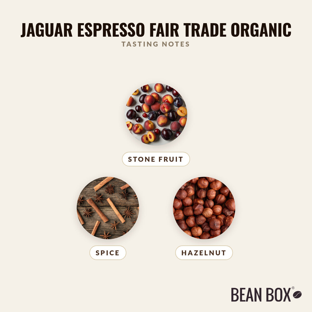 Jaguar Espresso Fair Trade Organic