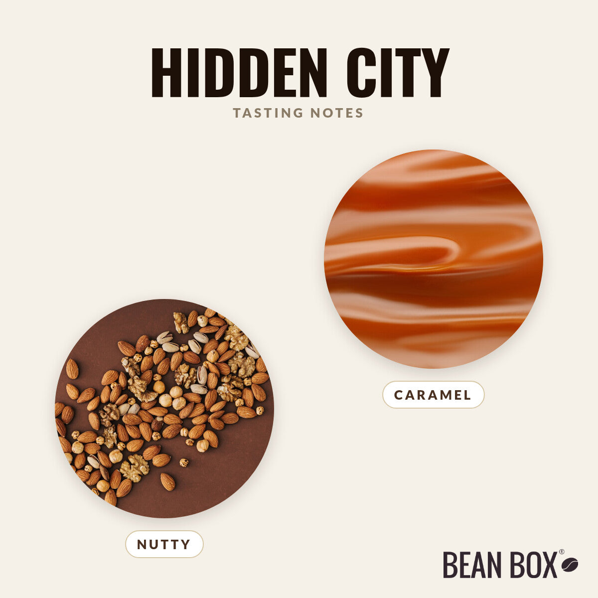 Hidden City