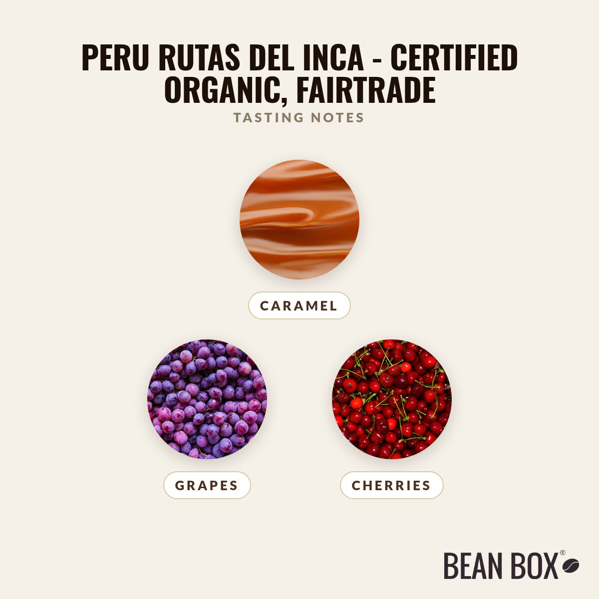 Peru Rutas del Inca - Certified Organic, Fairtrade