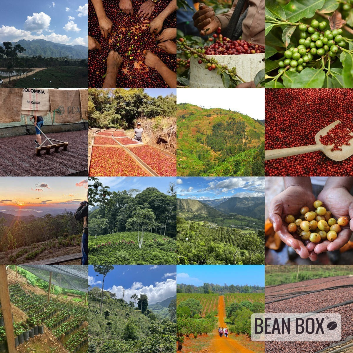 Sumatra