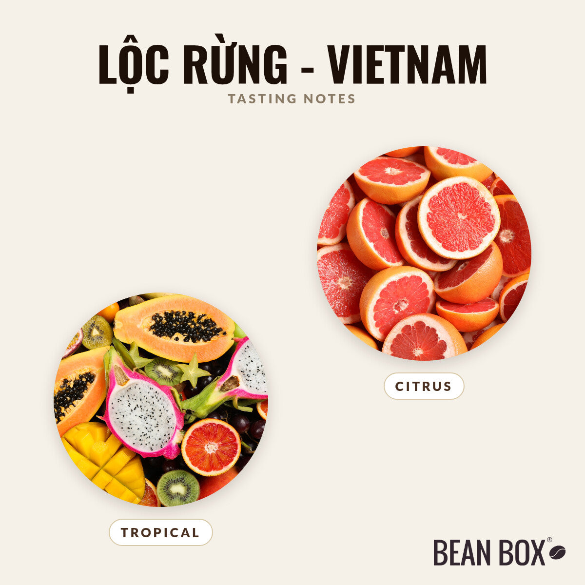 Lộc Rừng - Vietnam