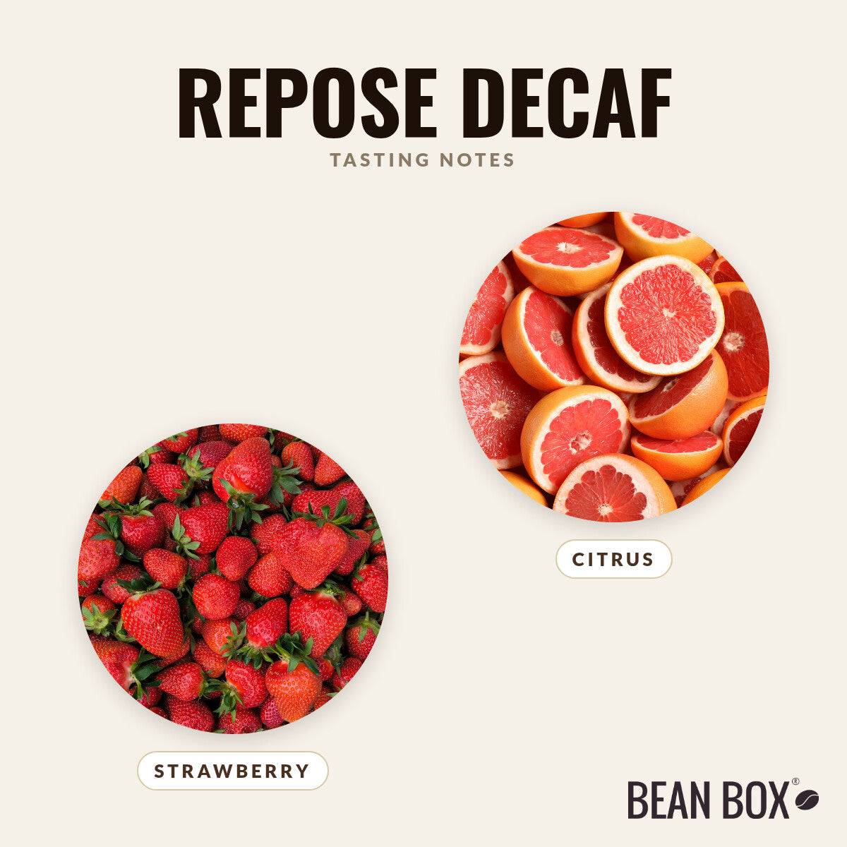 Repose Decaf