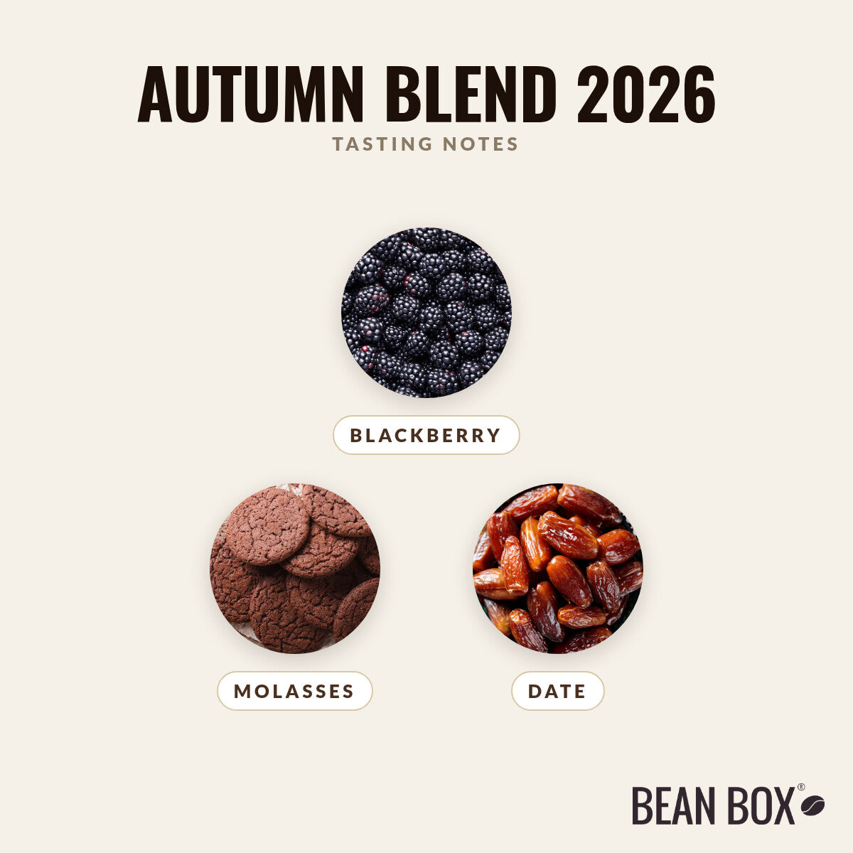 Autumn Blend 2026