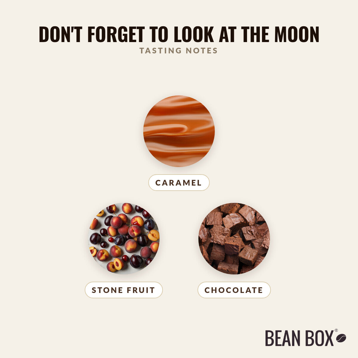 Don't Forget to Look at the Moon