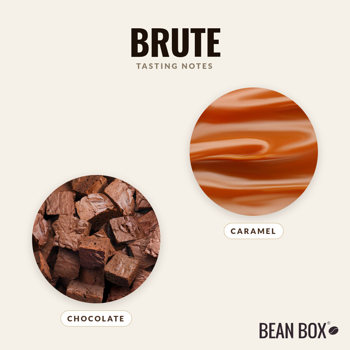 Brute