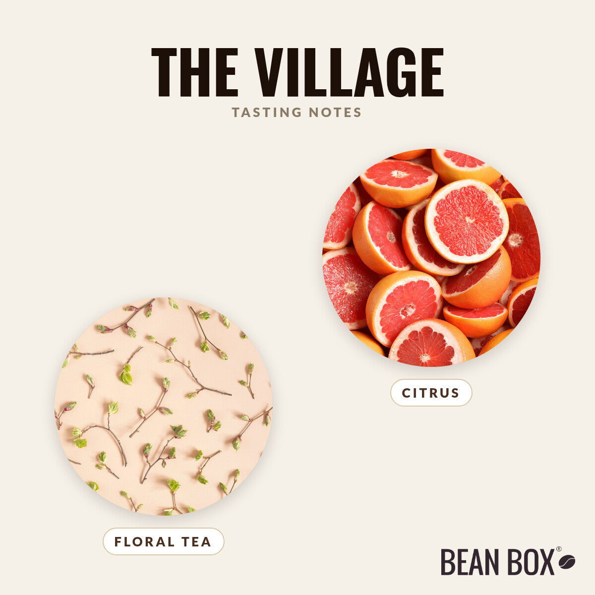The Village