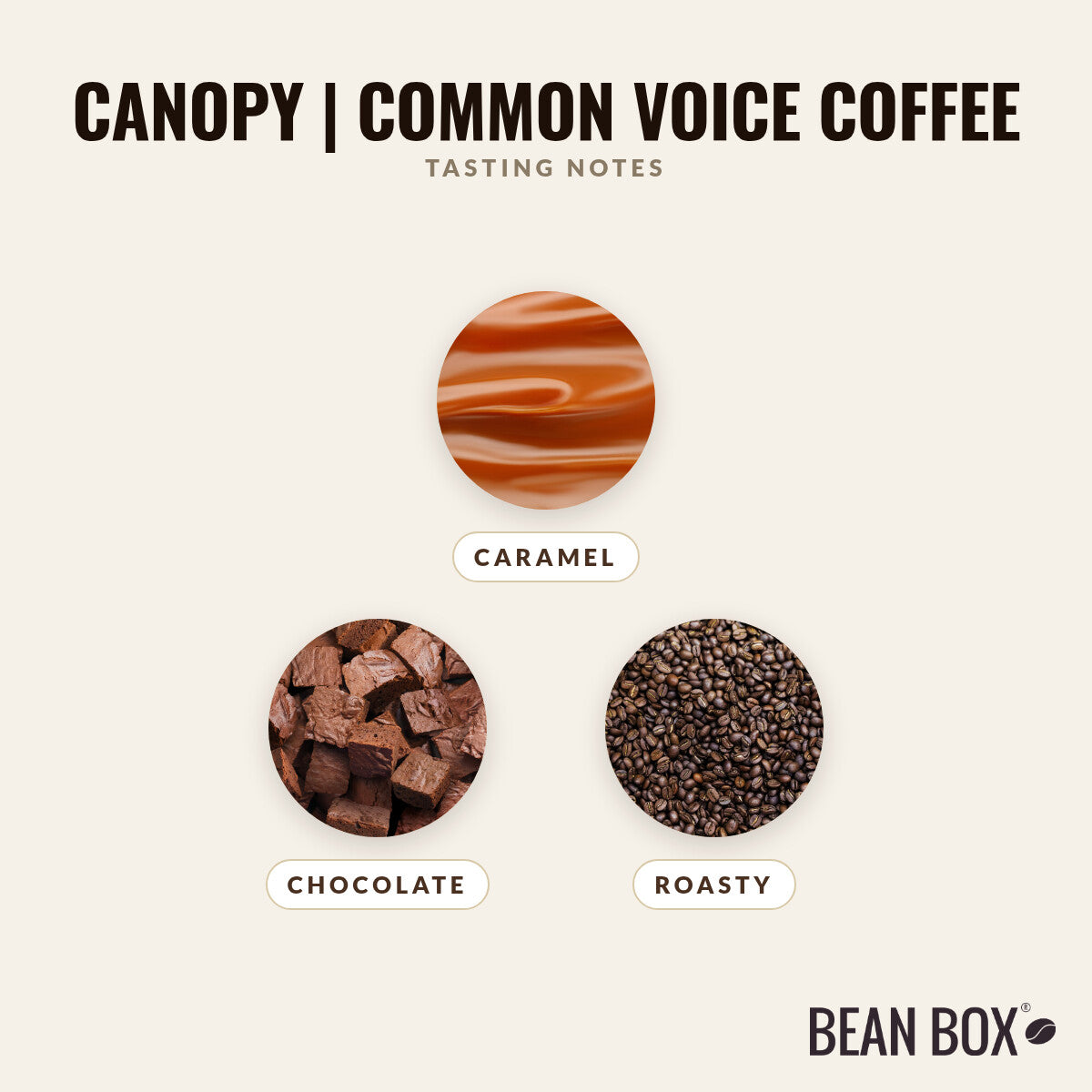 Canopy | Common Voice Coffee