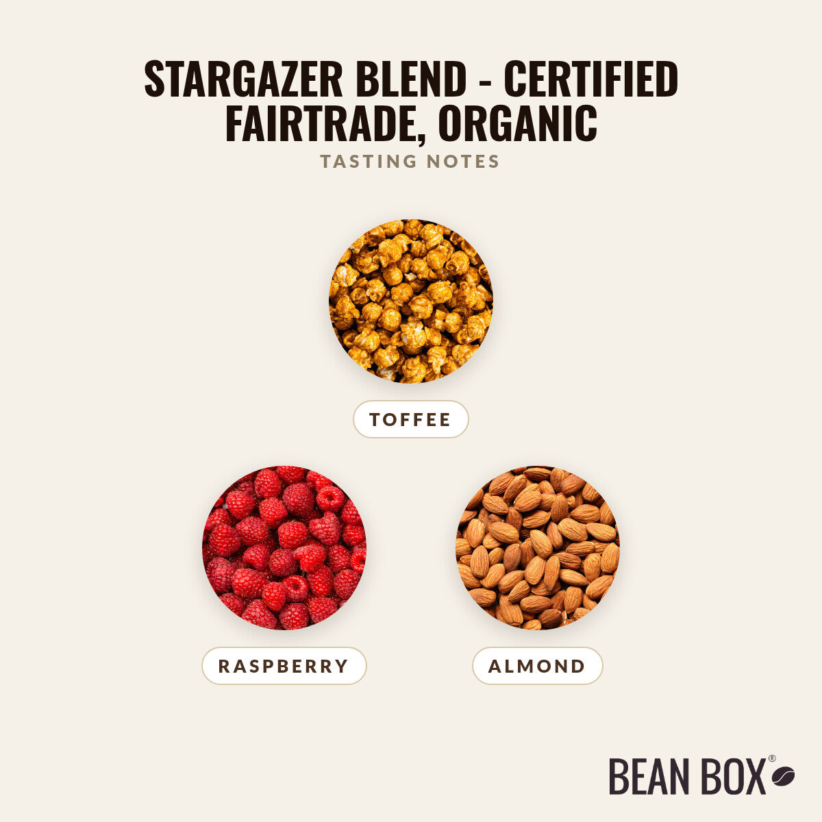 Stargazer Blend - Certified Fairtrade, Organic