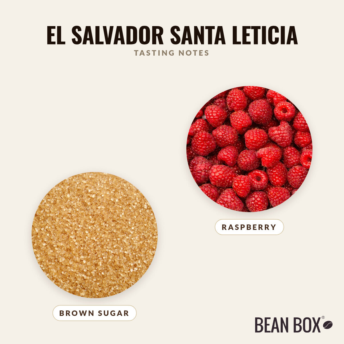 El Salvador Santa Leticia