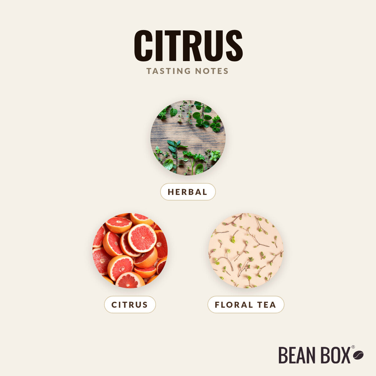 Citrus