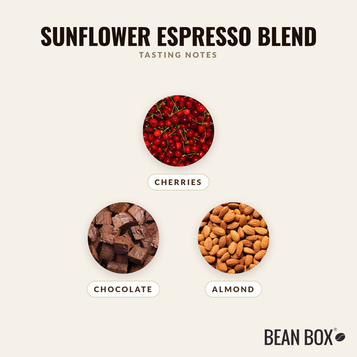 Sunflower Espresso Blend