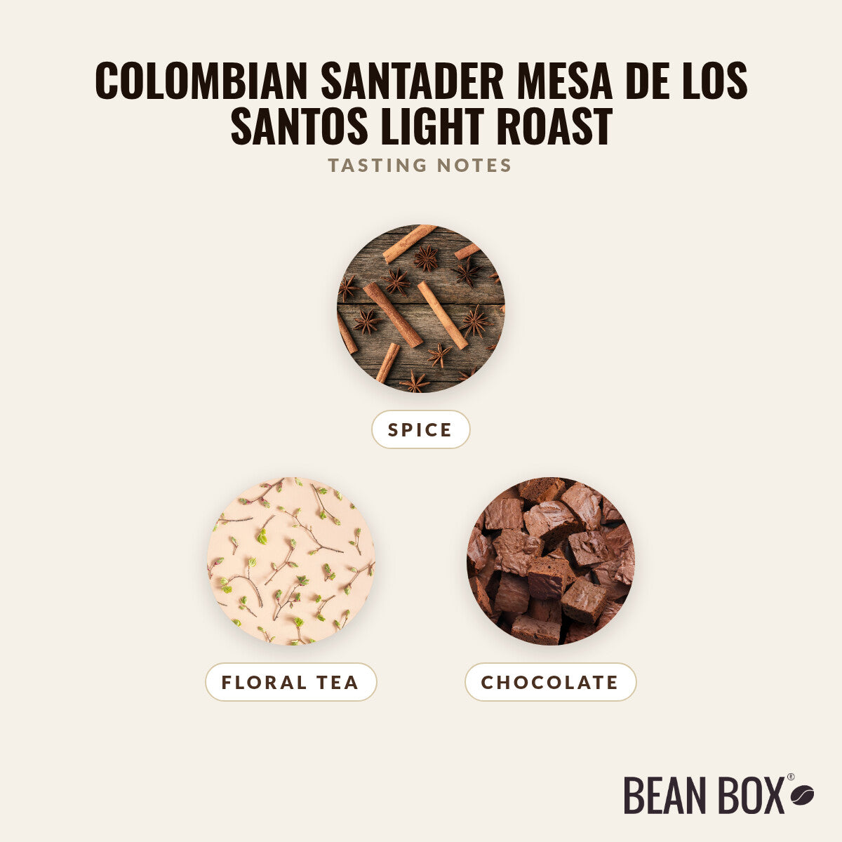 Colombian Santader Mesa de los Santos Light Roast