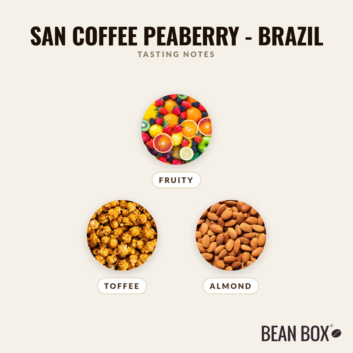 San Coffee Peaberry - Brazil
