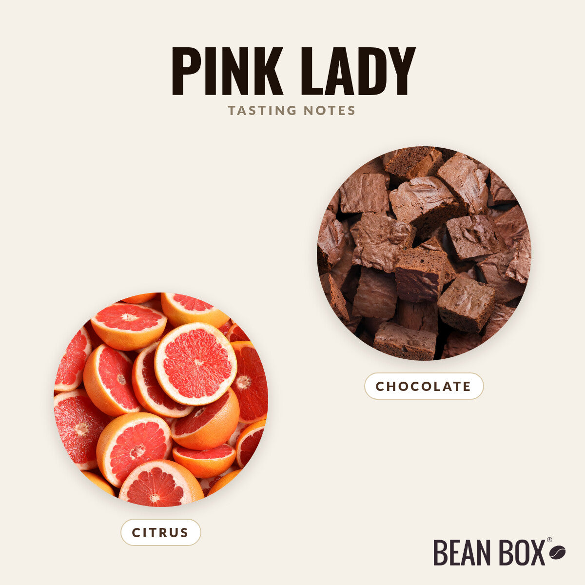 Pink Lady