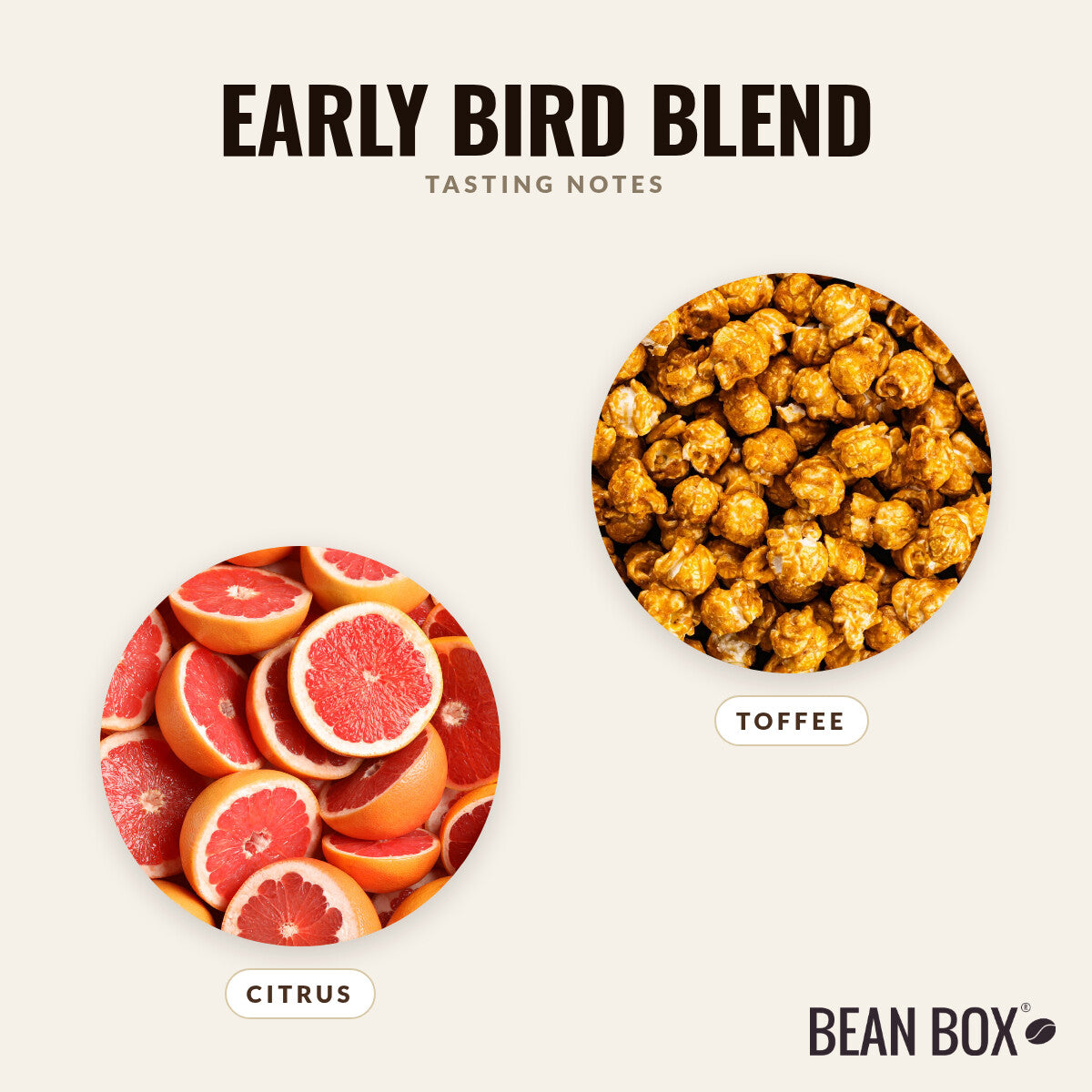 Early Bird Blend