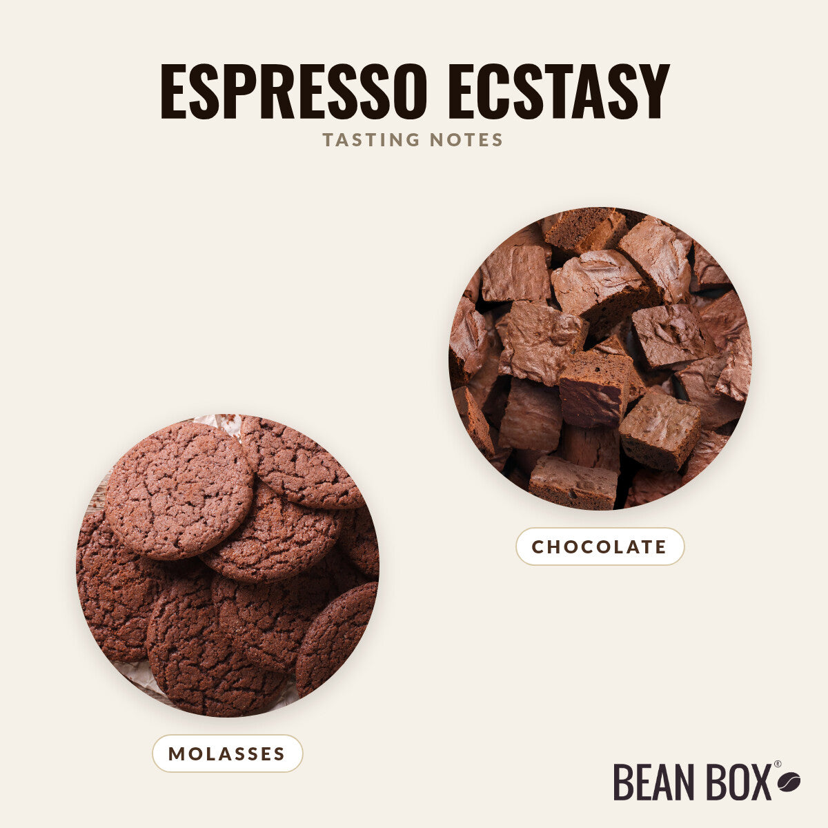 Espresso Ecstasy
