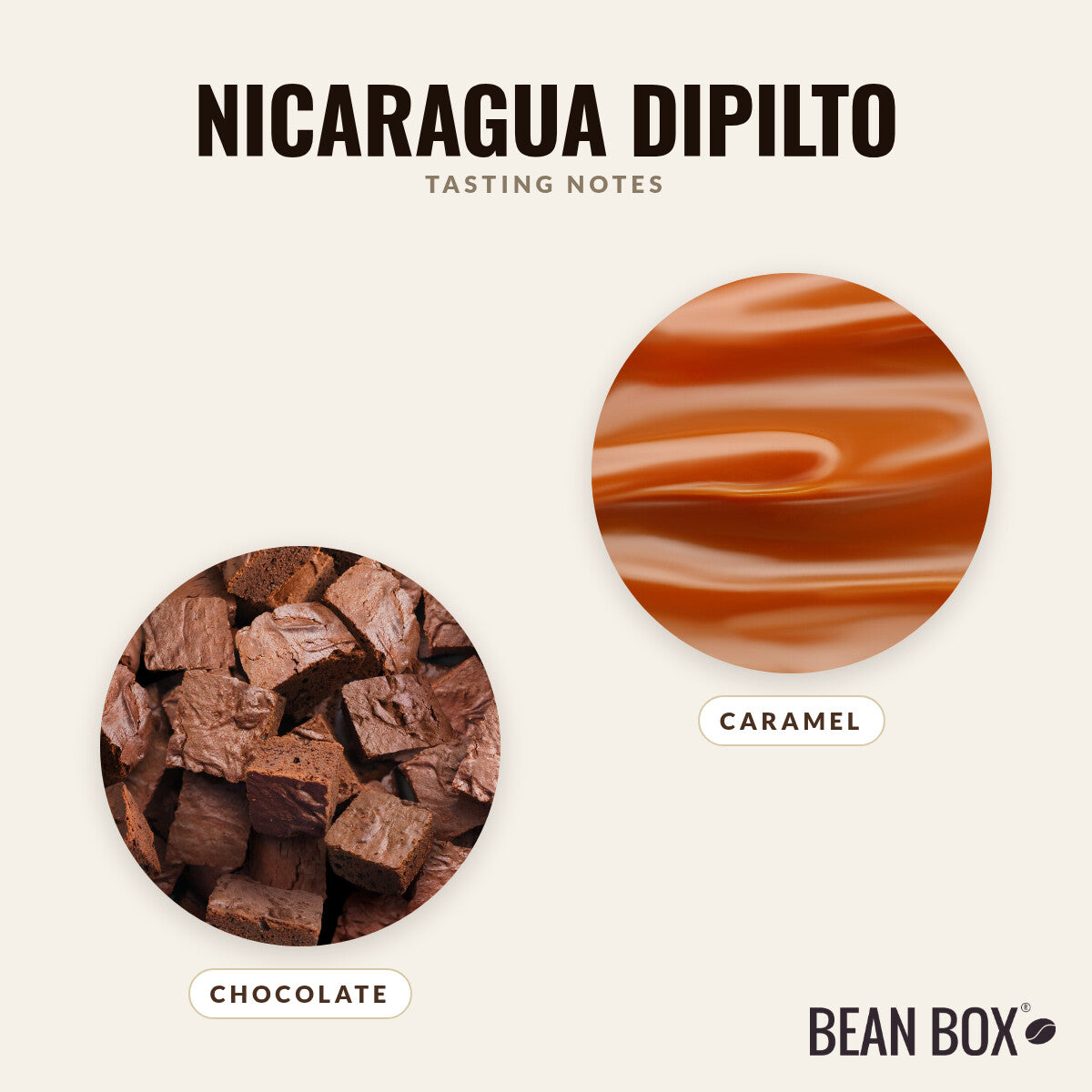 Nicaragua Dipilto