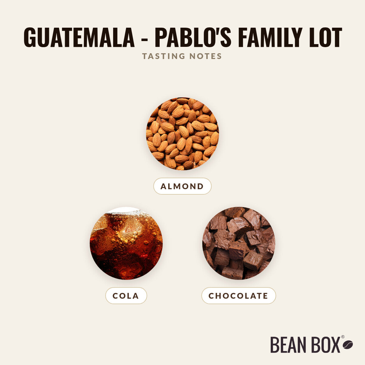 Guatemala - Pablo's Family Lot