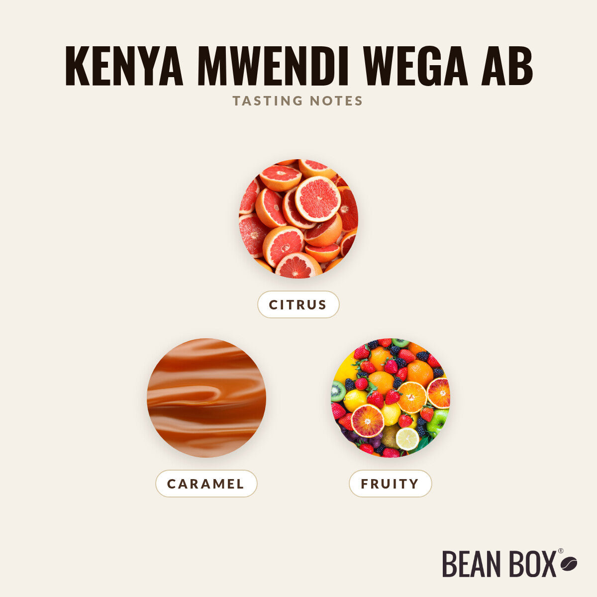 Kenya Mwendi Wega AB