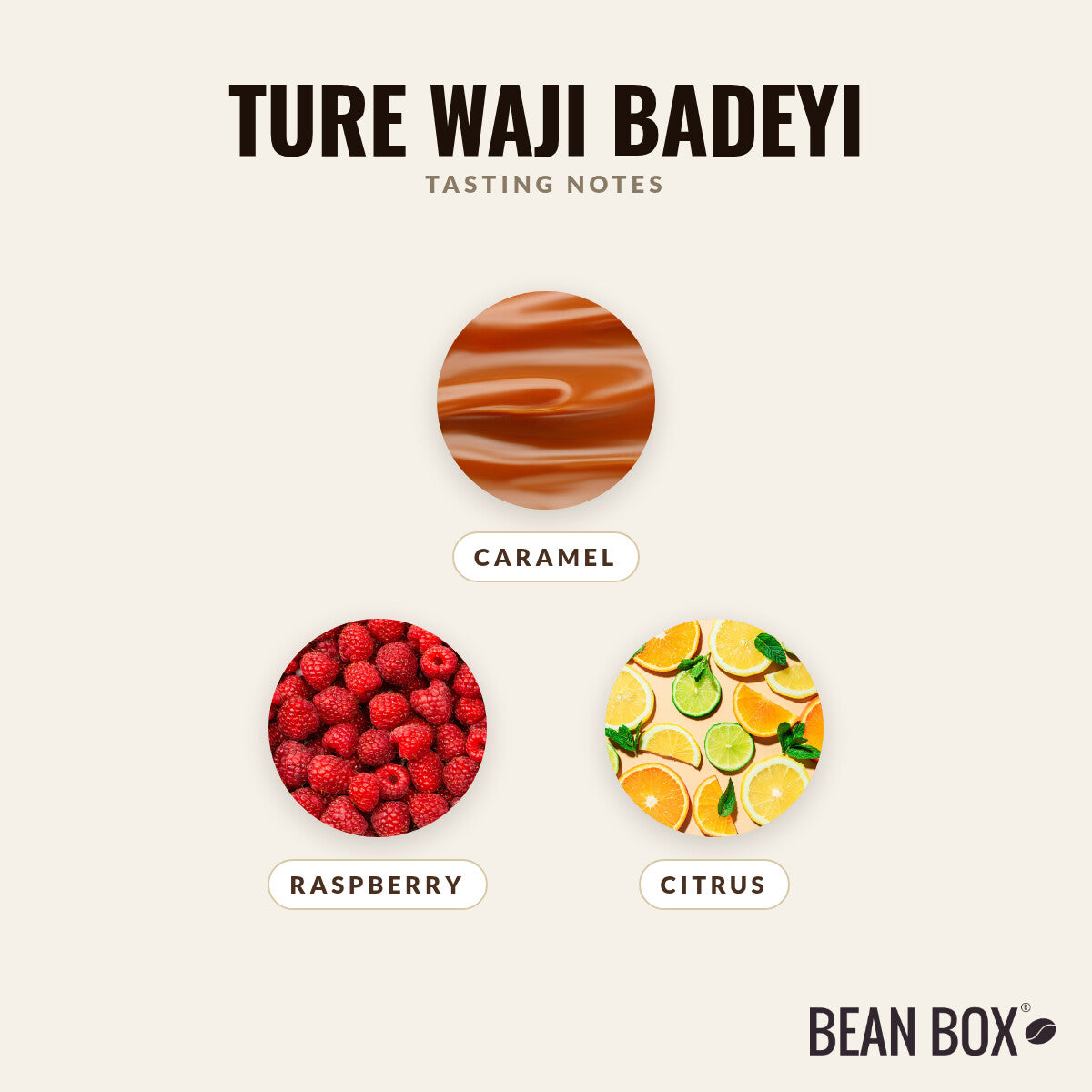 Ture Waji Badeyi