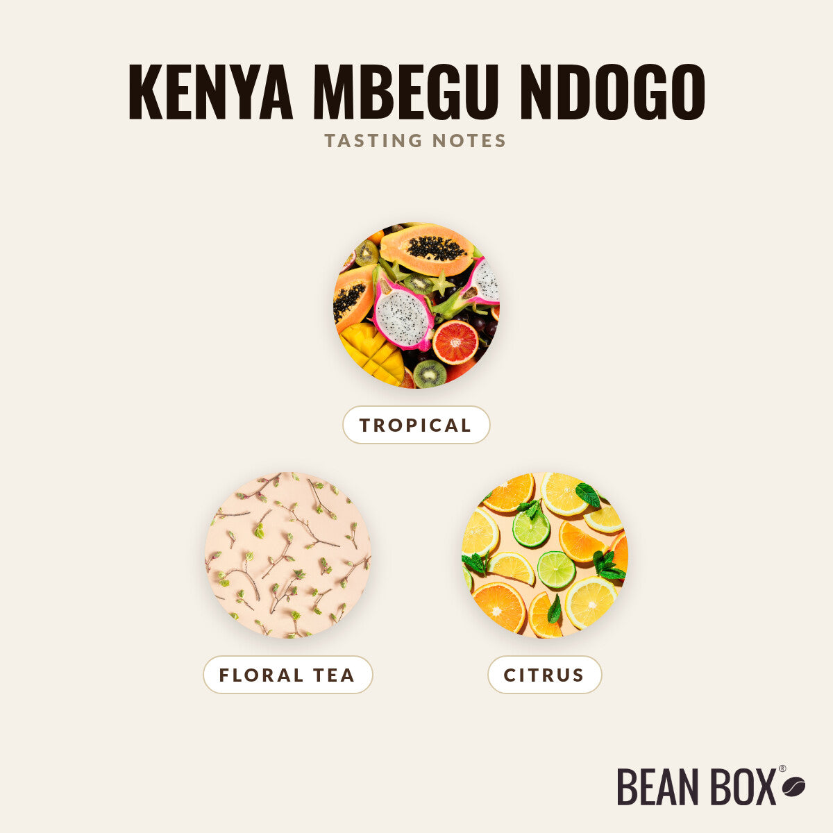 Kenya Mbegu Ndogo