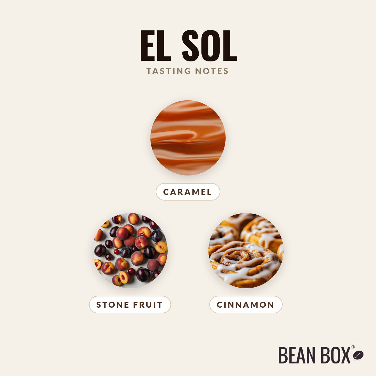El Sol