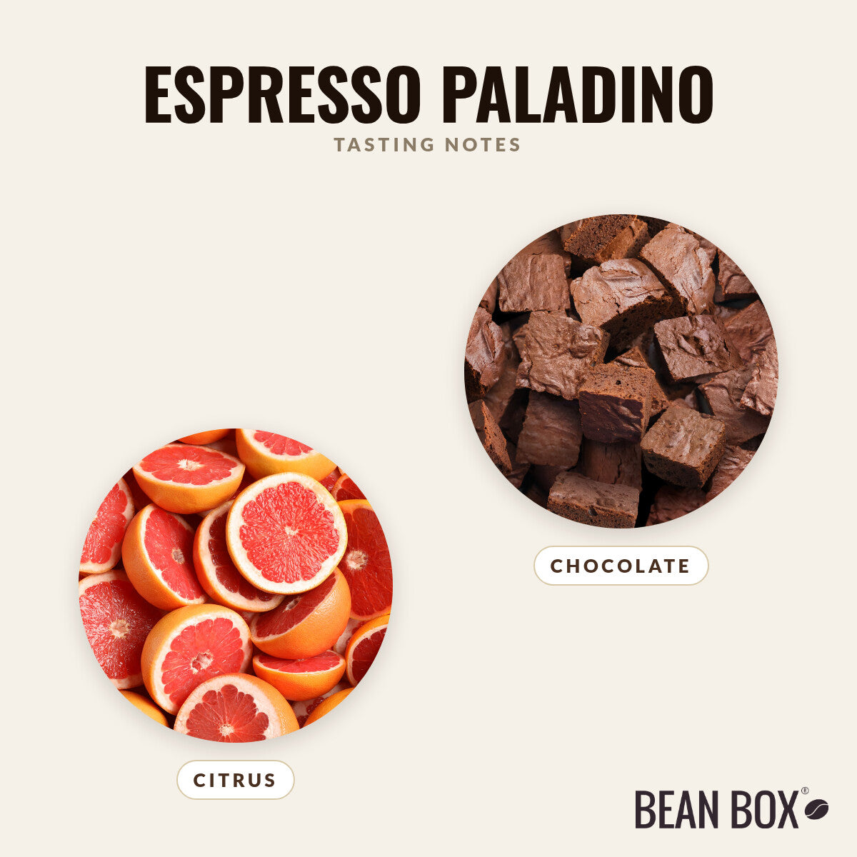 Espresso Paladino