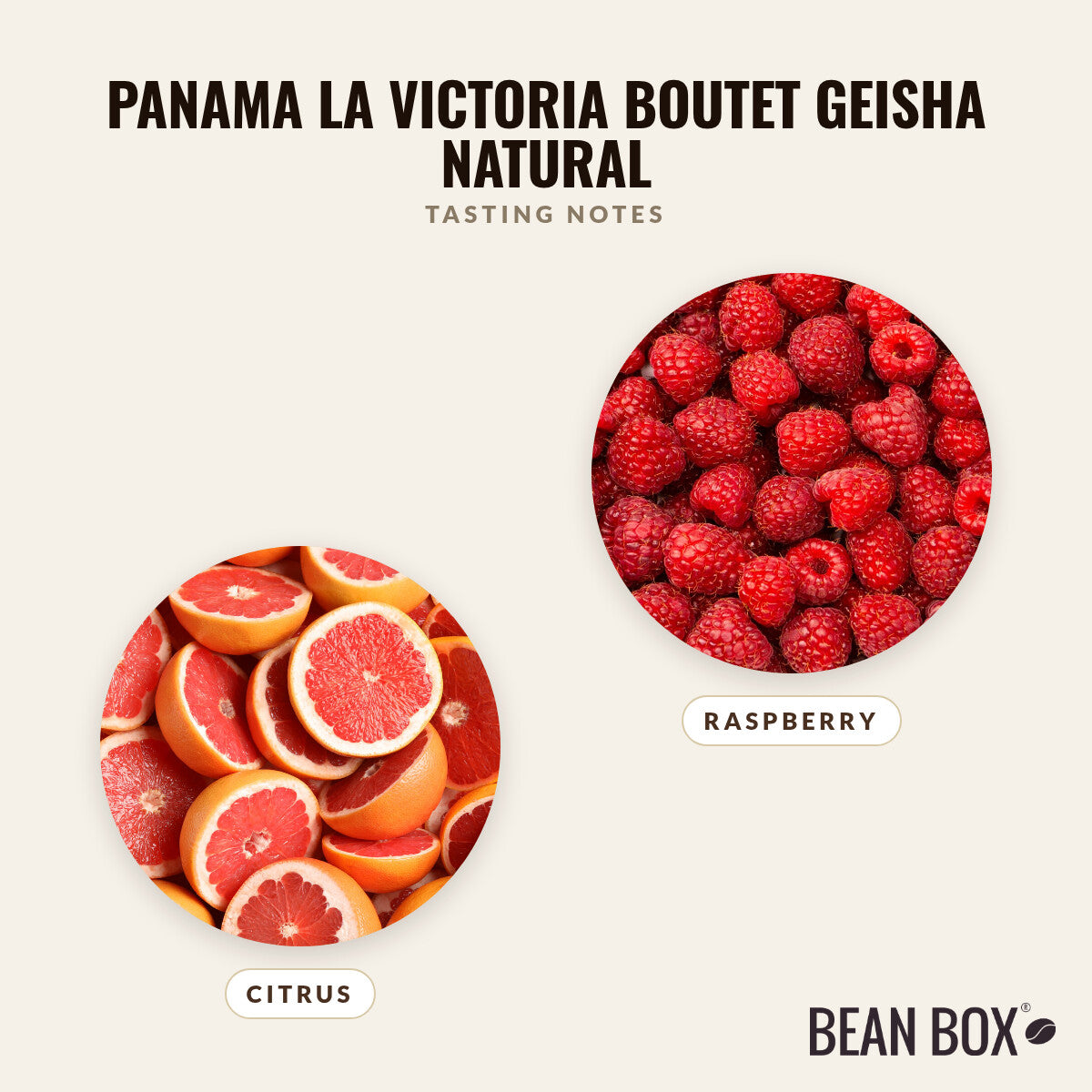 Panama La Victoria Boutet Geisha Natural