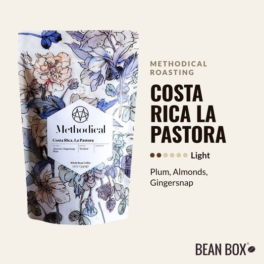 Costa Rica La Pastora