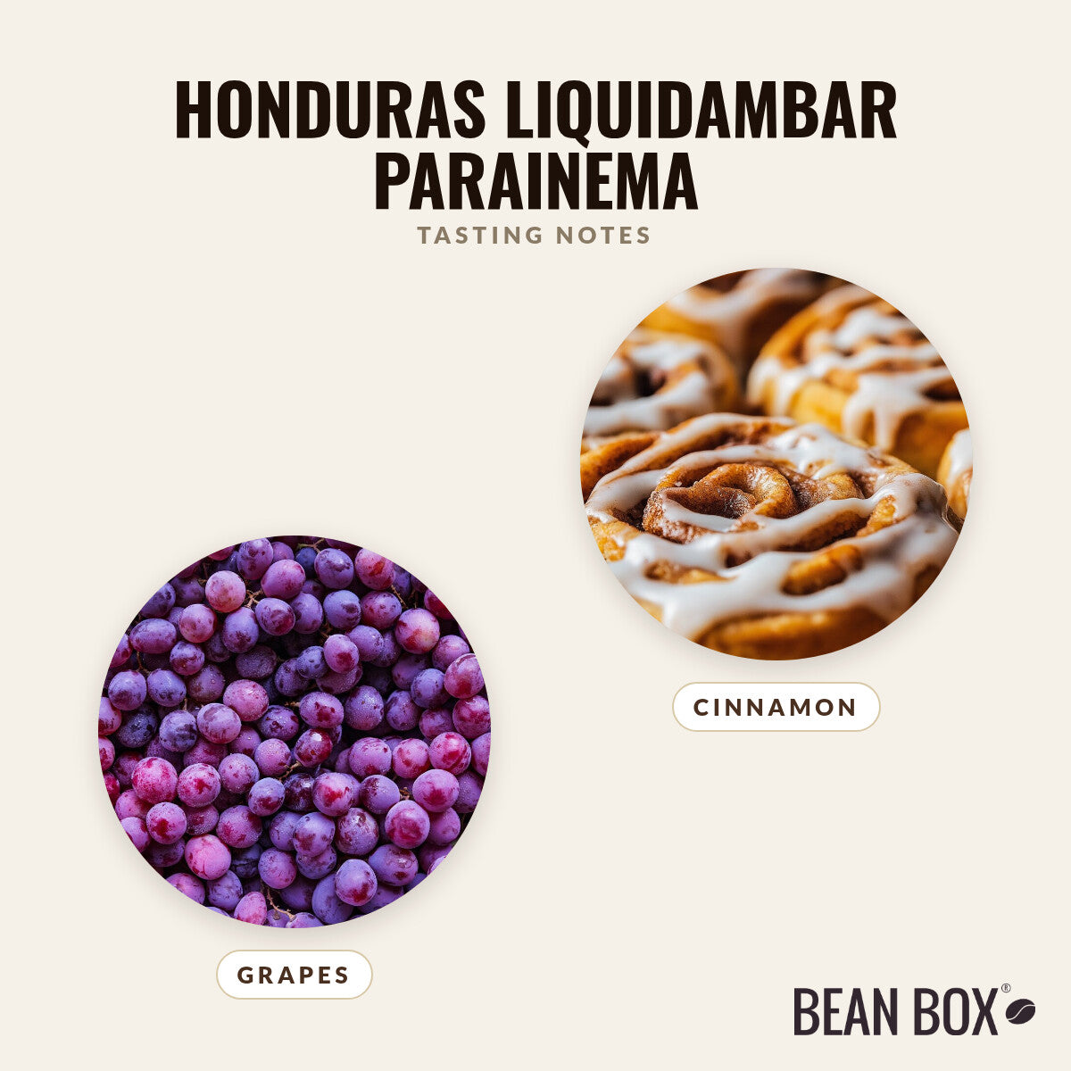 Honduras Liquidambar Parainema
