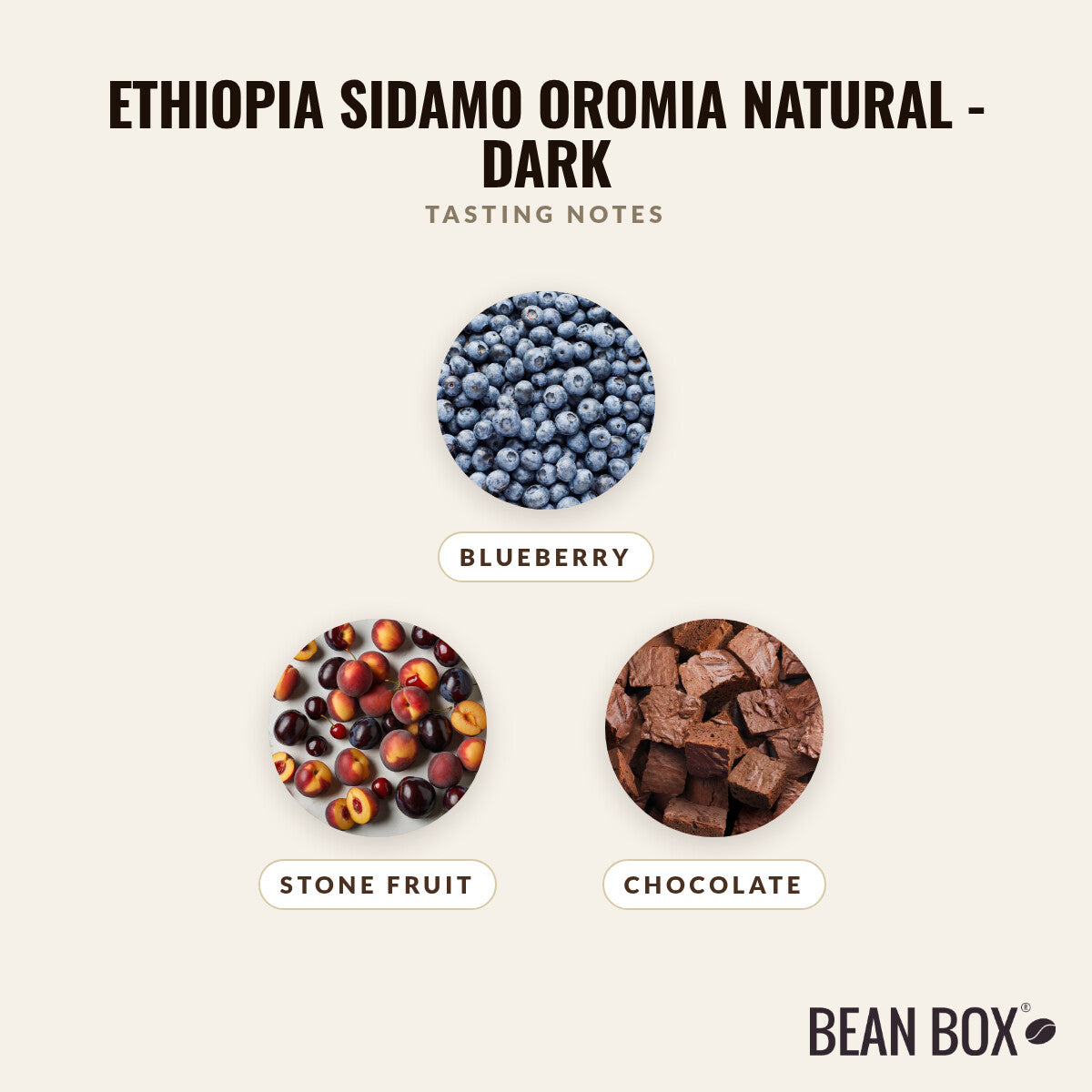 Ethiopia Sidamo Oromia Natural - Dark
