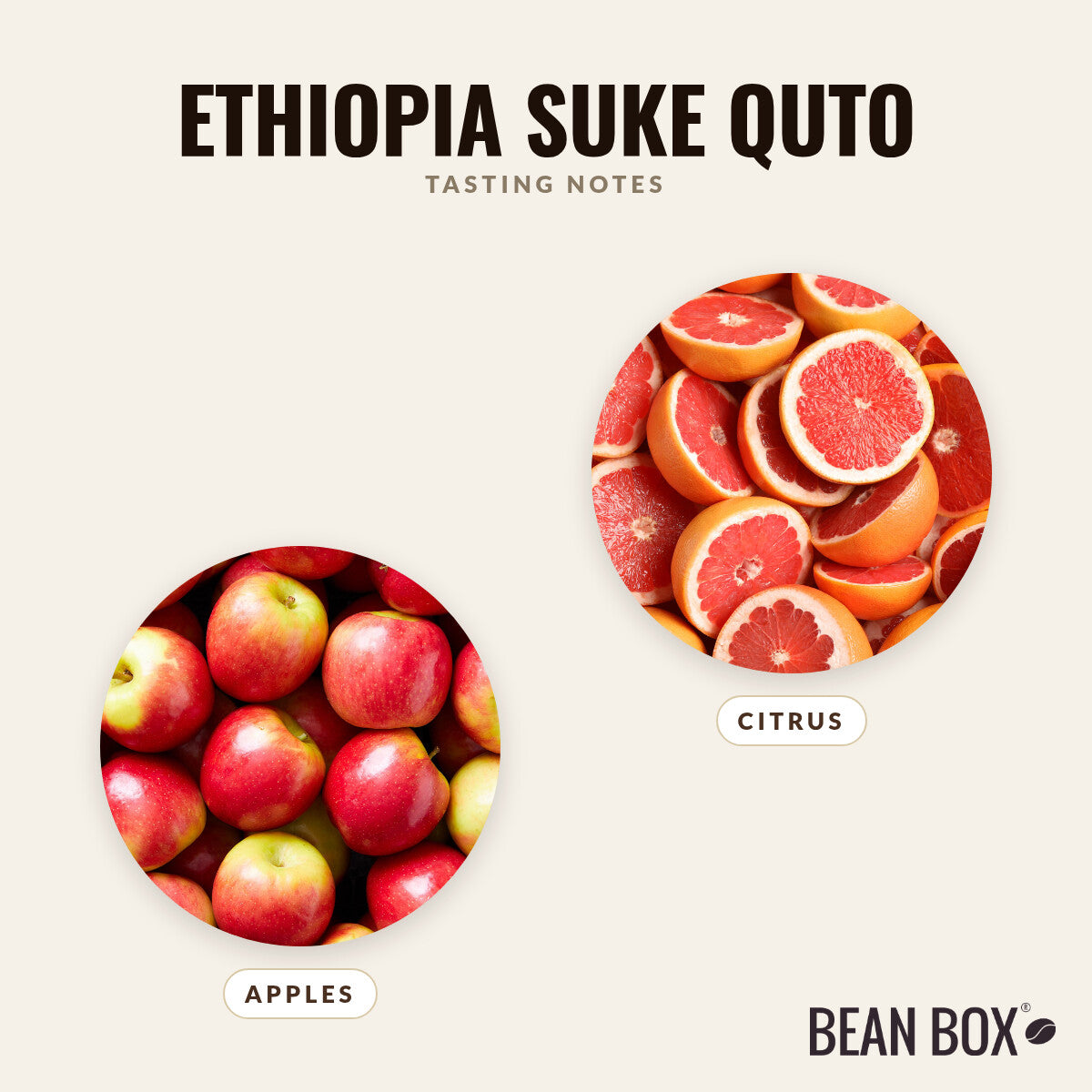 Ethiopia Suke Quto