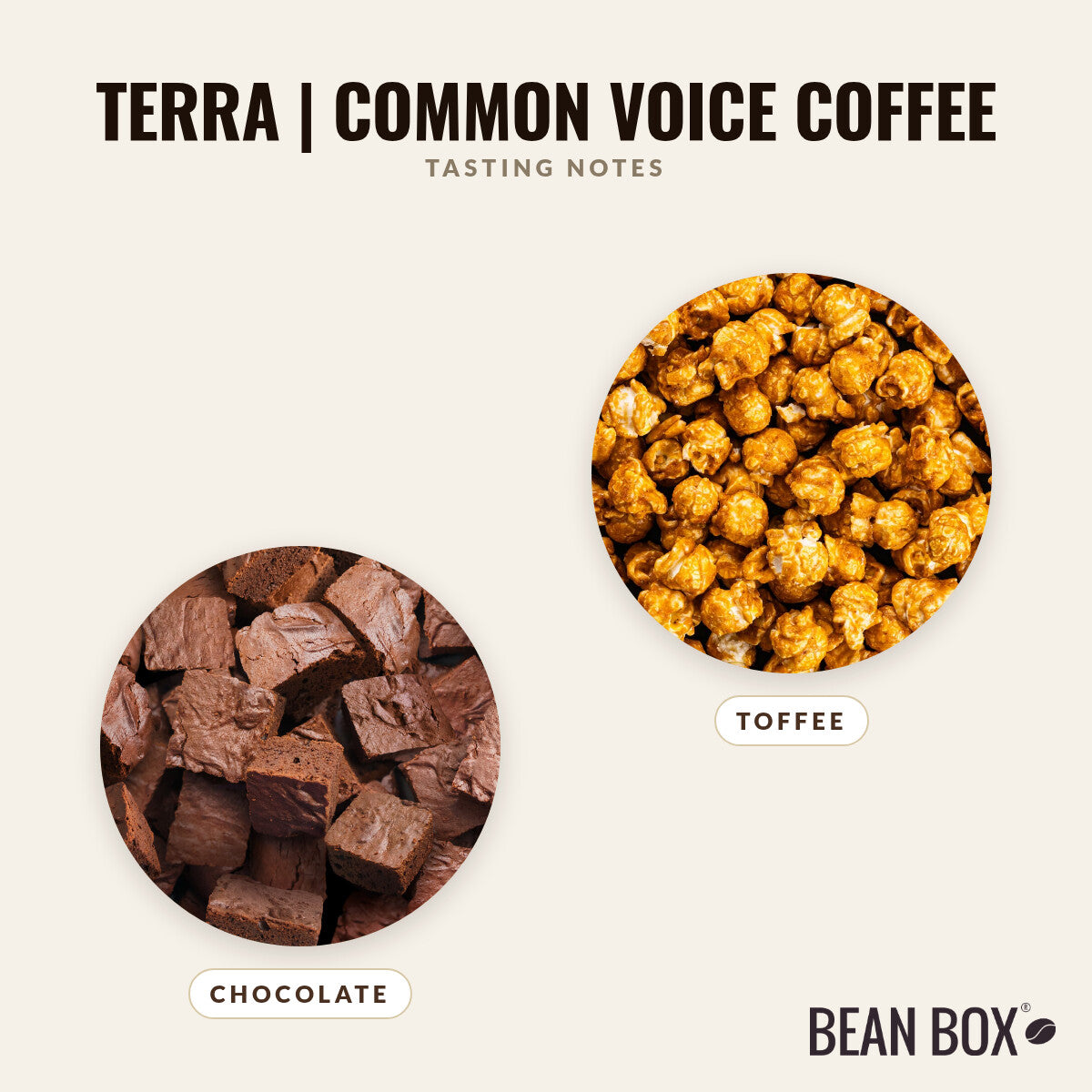 Terra | Common Voice Coffee