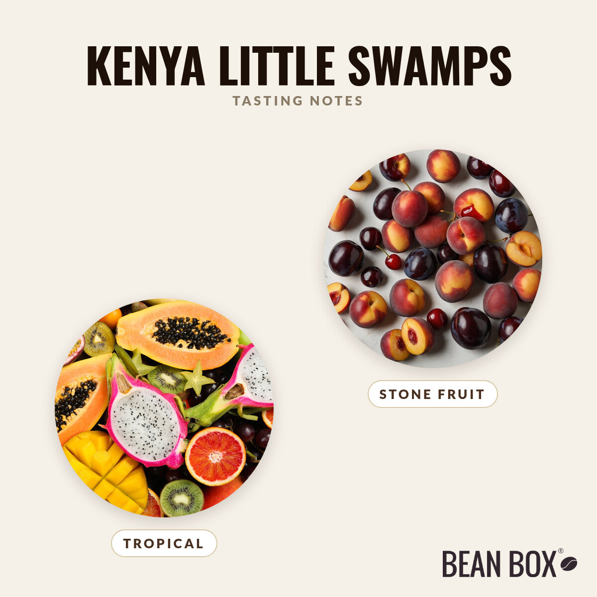 Kenya Little Swamps