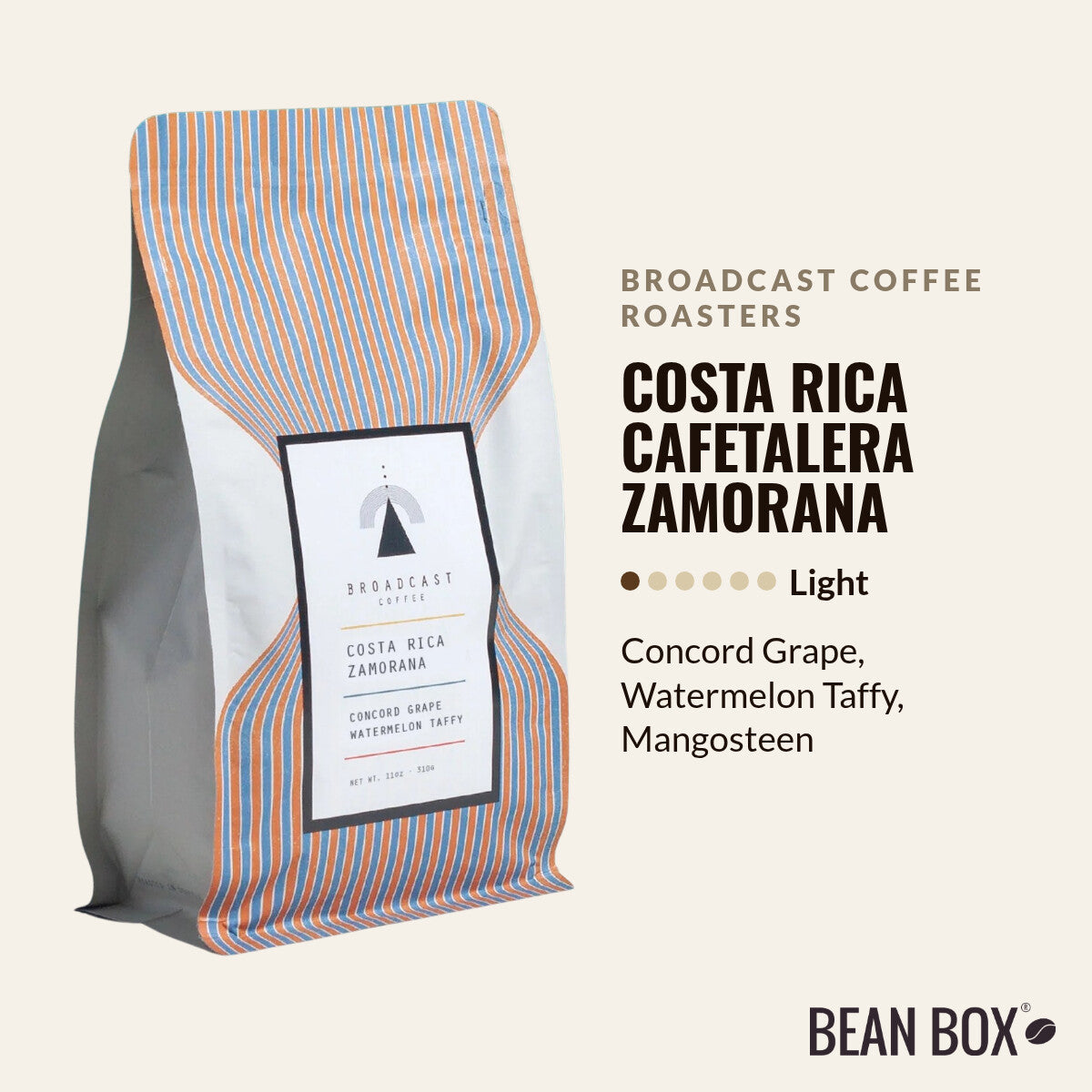 Costa Rica Cafetalera Zamorana