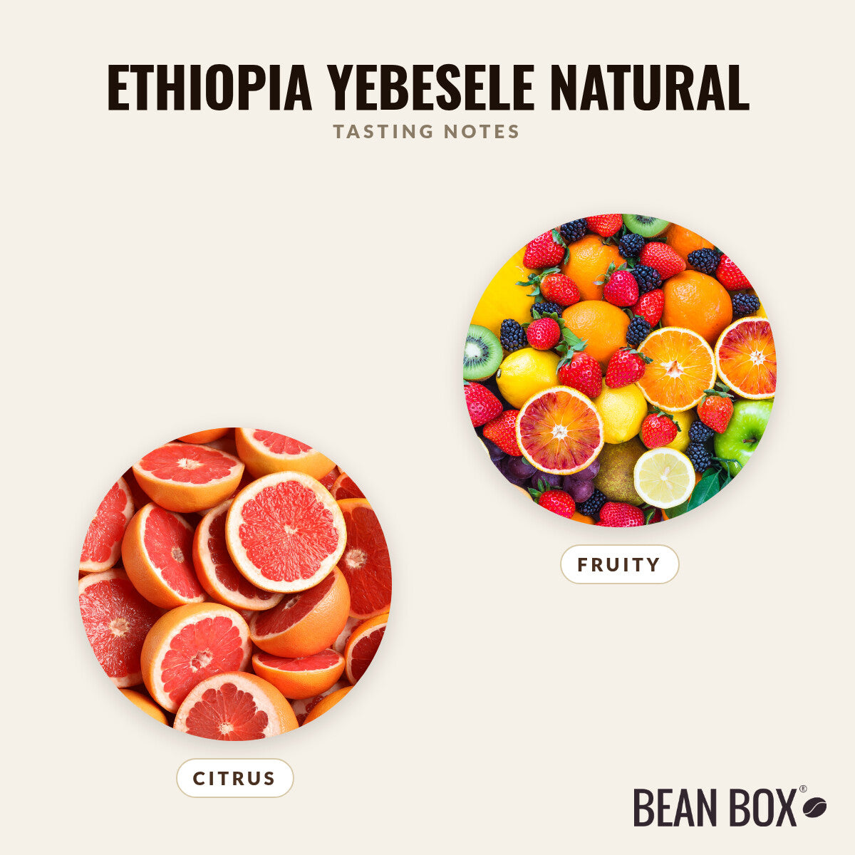 Ethiopia Yebesele Natural