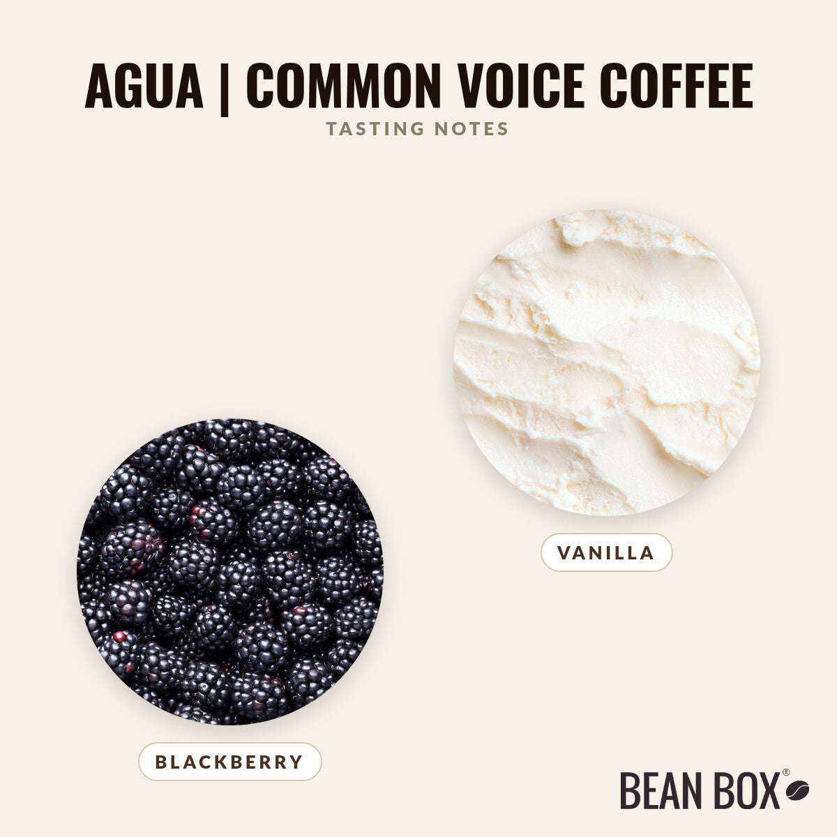 Agua | Common Voice Coffee