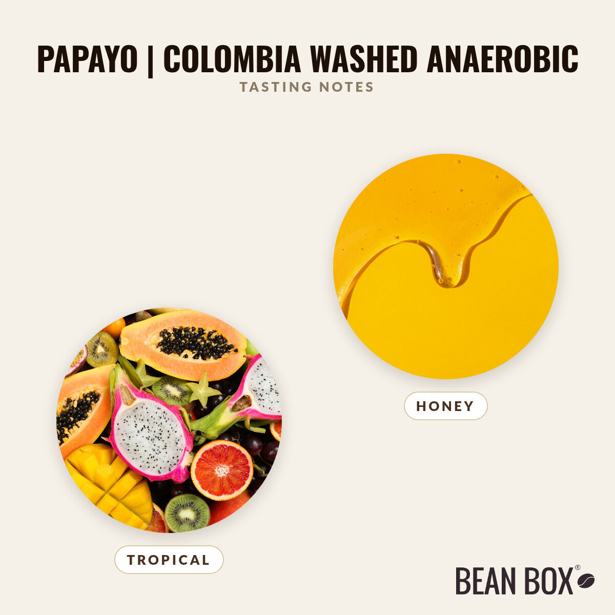 Papayo | Colombia Washed Anaerobic