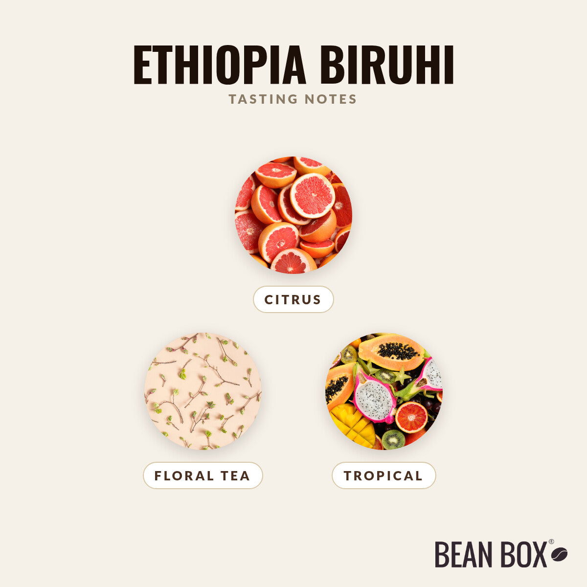Ethiopia Biruhi