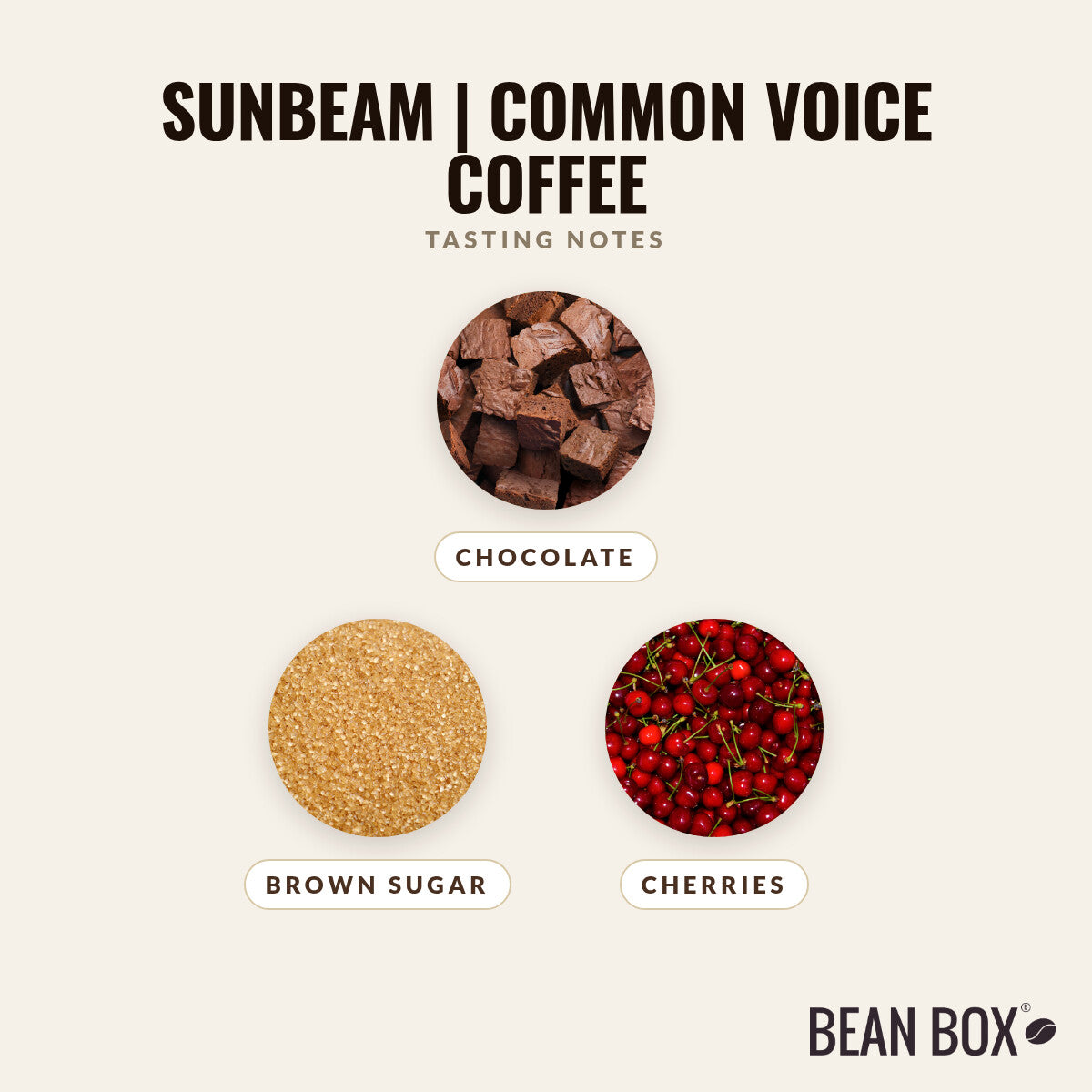 Sunbeam | Common Voice Coffee