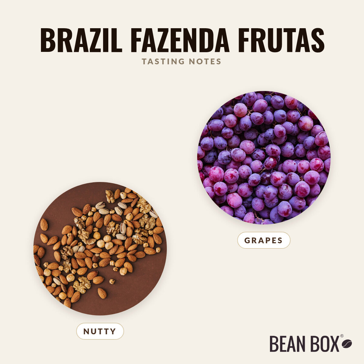 Brazil Fazenda Frutas