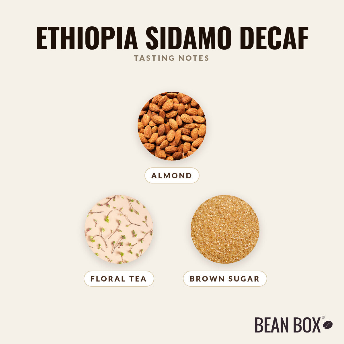 Ethiopia Sidamo Decaf