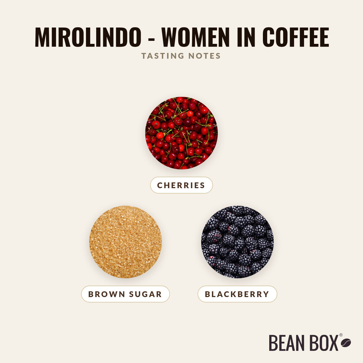 Mirolindo - Women in Coffee